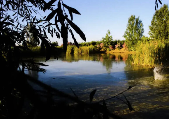 Laguna de las Encantás